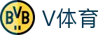 V体育(VTY)官方网站 - V SPORTS